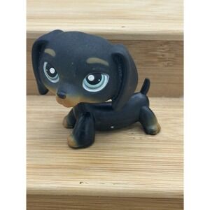 Littlest Pet Shop LPS Authentic #325 Dachshund Black Brown Puppy Dog Blue Eyes
